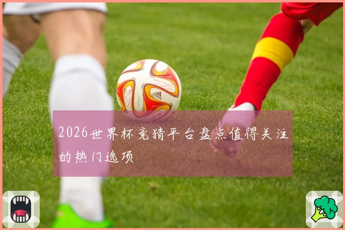 2026世界杯竞猜平台盘点值得关注的热门选项