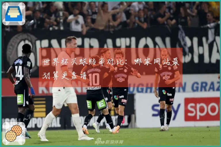 世界杯买球赔率对比：哪家网站最划算更靠谱