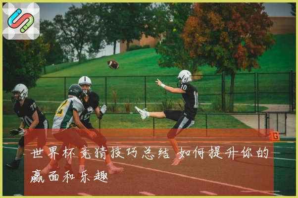 世界杯竞猜技巧总结 如何提升你的赢面和乐趣