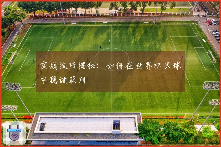 实战技巧揭秘：如何在世界杯买球中稳健获利