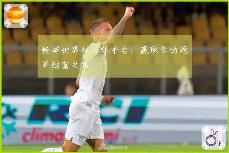 畅游世界杯买球平台，赢取你的冠军财富之路