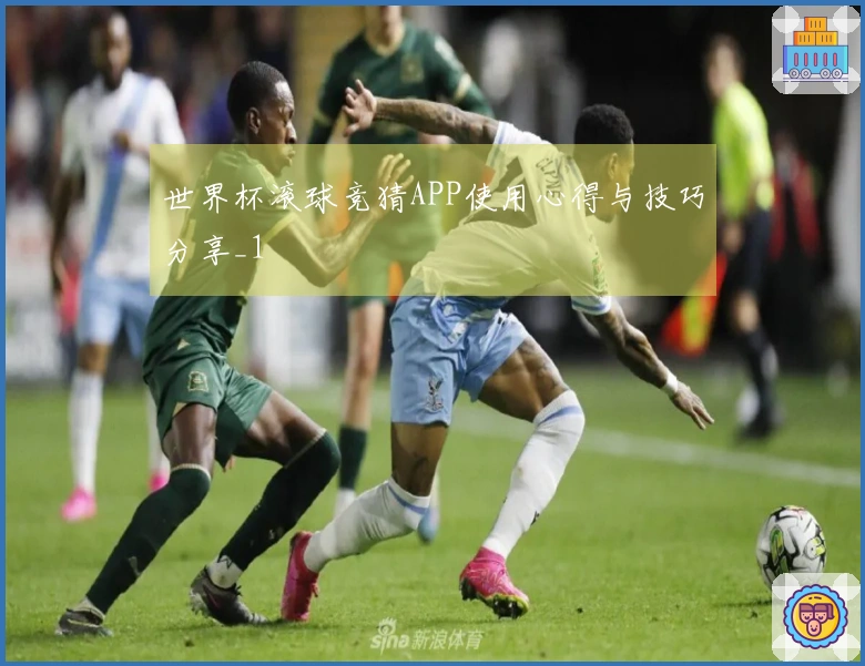世界杯滚球竞猜APP使用心得与技巧分享_1