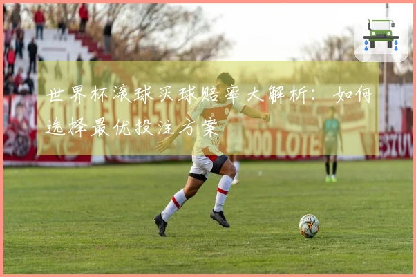 世界杯滚球买球赔率大解析：如何选择最优投注方案
