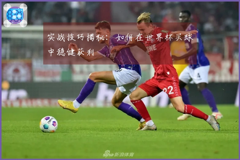 实战技巧揭秘：如何在世界杯买球中稳健获利