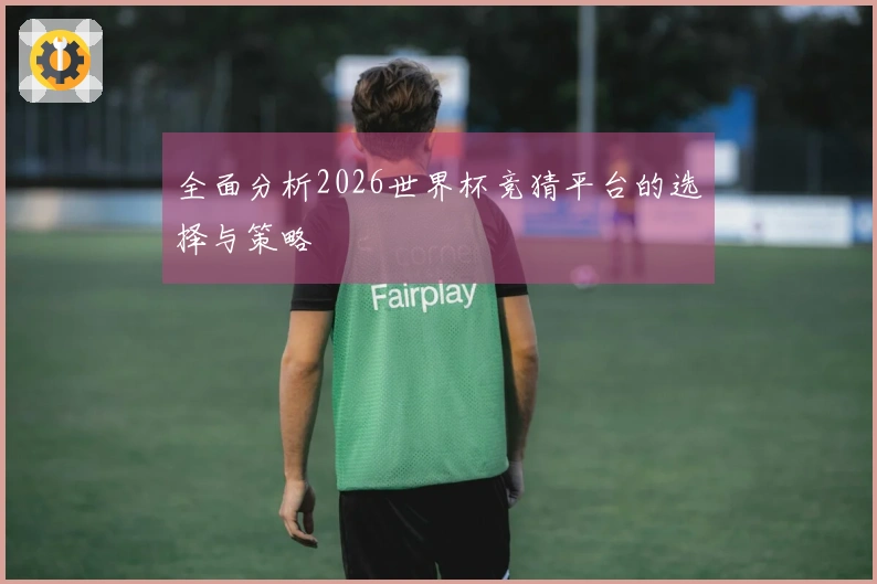 全面分析2026世界杯竞猜平台的选择与策略