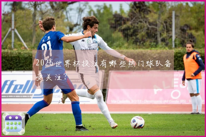 2026世界杯投注有哪些热门球队备受关注？