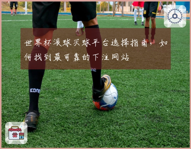 世界杯滚球买球平台选择指南，如何找到最可靠的下注网站