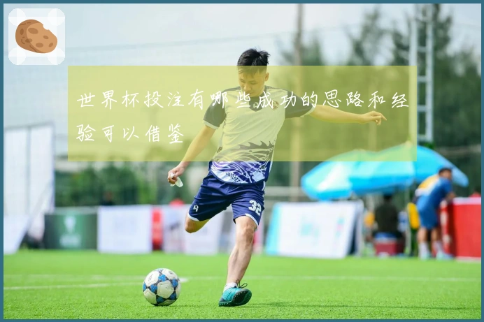 世界杯投注有哪些成功的思路和经验可以借鉴
