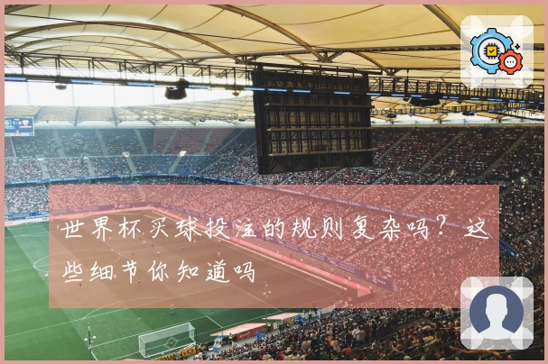 世界杯买球投注的规则复杂吗？这些细节你知道吗