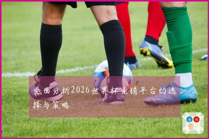 全面分析2026世界杯竞猜平台的选择与策略