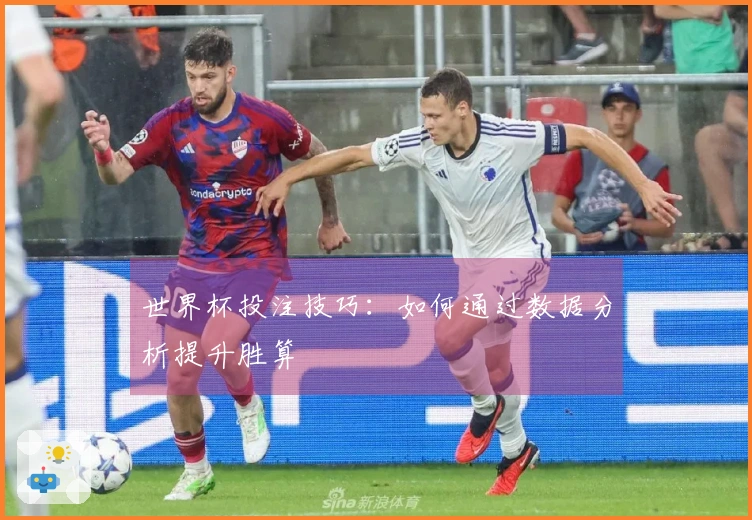 世界杯投注技巧：如何通过数据分析提升胜算