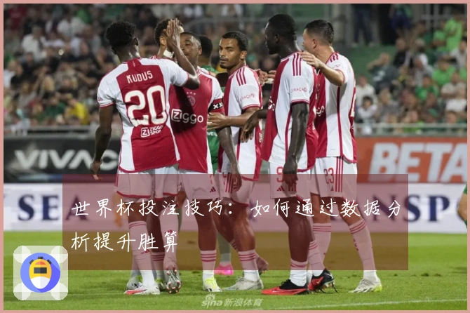 世界杯投注技巧：如何通过数据分析提升胜算