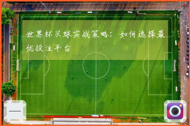 世界杯买球实战策略：如何选择最优投注平台