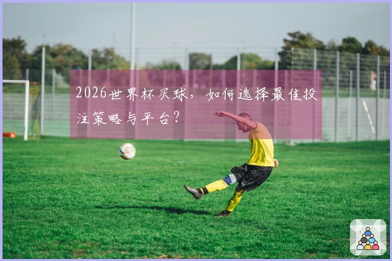 2026世界杯买球，如何选择最佳投注策略与平台？