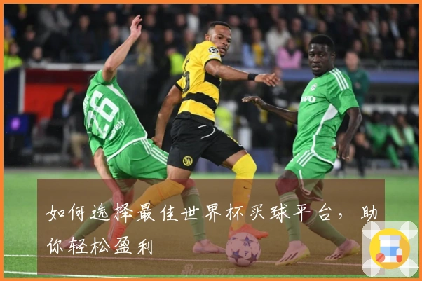 如何选择最佳世界杯买球平台,助你轻松盈利