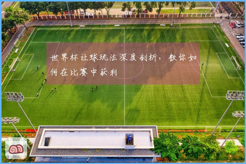 世界杯让球玩法深度剖析，教你如何在比赛中获利